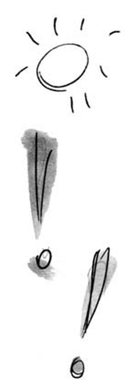 Иллюстрация к книге — Скажи, Лиса! [i_079.jpg]