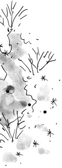 Иллюстрация к книге — Скажи, Лиса! [i_080.jpg]