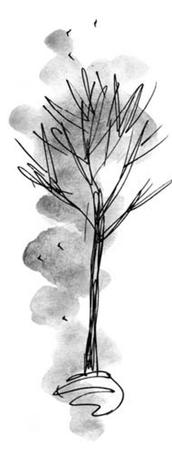 Иллюстрация к книге — Скажи, Лиса! [i_102.jpg]