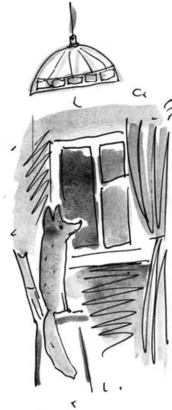 Иллюстрация к книге — Скажи, Лиса! [i_106.jpg]