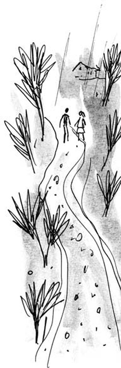 Иллюстрация к книге — Скажи, Лиса! [i_114.jpg]