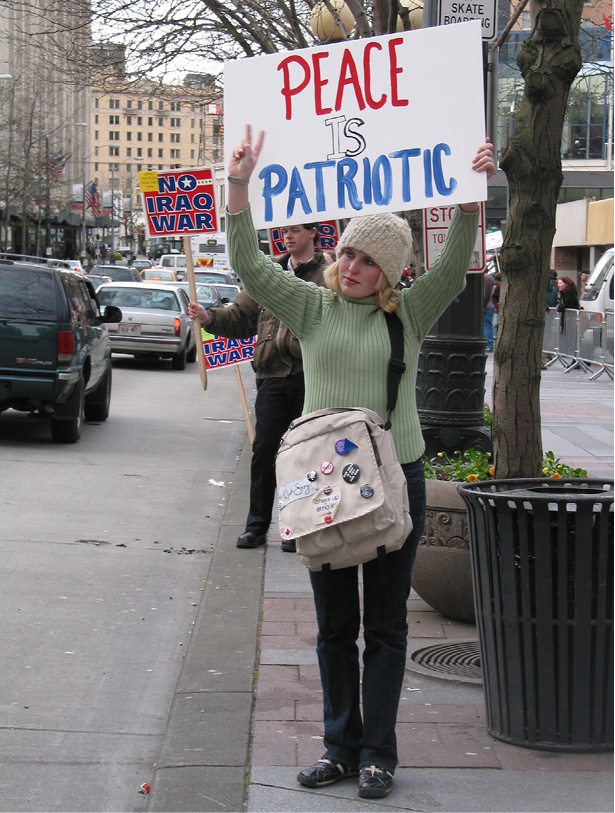 Иллюстрация к книге — Как ненасилие защищает государство [_22.jpg]