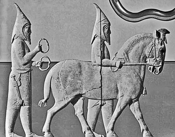 Иллюстрация к книге — История тюрков [i_052.jpg]