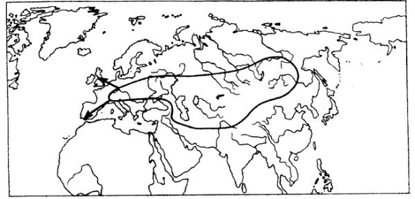 Иллюстрация к книге — Азиатская Европа [i_014.jpg]
