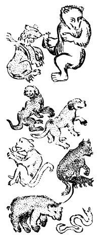 Иллюстрация к книге — Азиатская Европа [i_046.jpg]