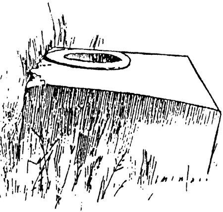 Иллюстрация к книге — Азиатская Европа [i_094.jpg]