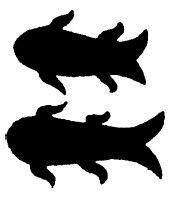 Иллюстрация к книге — Азиатская Европа [i_116.jpg]