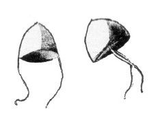 Иллюстрация к книге — Азиатская Европа [i_146.jpg]