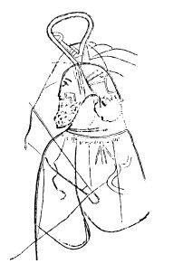 Иллюстрация к книге — Азиатская Европа [i_150.jpg]