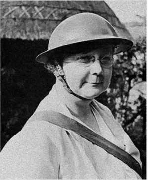 Иллюстрация к книге — Медовый месяц в улье [i_005.jpg]