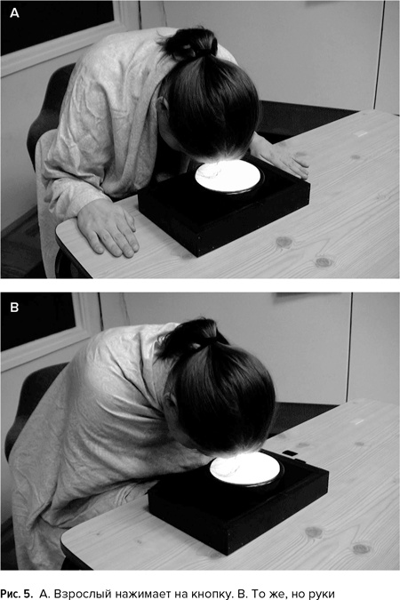 Иллюстрация к книге — Мозг прирученный. Что делает нас людьми? [img_6.jpg]