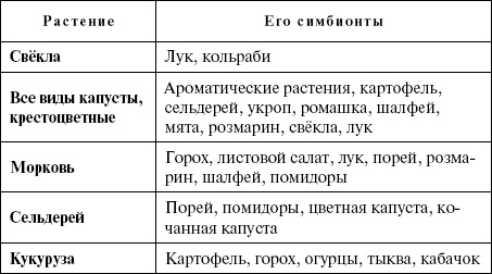 Иллюстрация к книге — Умное сыроедение. Пища для тела, души и духа [_05.jpg]