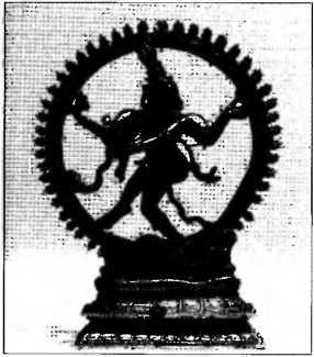 Иллюстрация к книге — Рождение разума. Загадки нашего сознания [img_13.jpg]