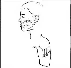 Иллюстрация к книге — Рождение разума. Загадки нашего сознания [img_3.jpg]