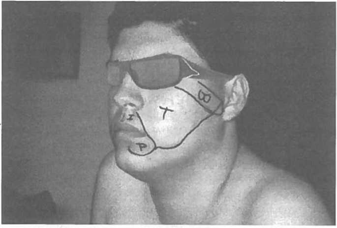 Иллюстрация к книге — Мозг рассказывает. Что делает нас людьми [i_004.jpg]