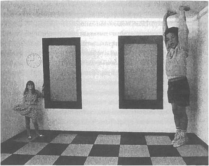 Иллюстрация к книге — Мозг рассказывает. Что делает нас людьми [i_009.jpg]