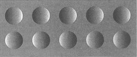 Иллюстрация к книге — Мозг рассказывает. Что делает нас людьми [i_011.jpg]