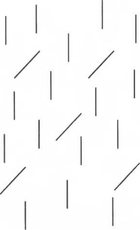 Иллюстрация к книге — Мозг рассказывает. Что делает нас людьми [i_019.jpg]