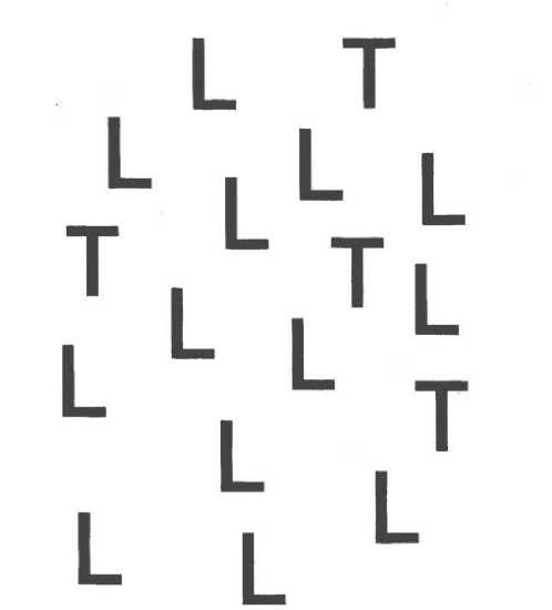 Иллюстрация к книге — Мозг рассказывает. Что делает нас людьми [i_021.jpg]