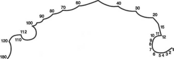 Иллюстрация к книге — Мозг рассказывает. Что делает нас людьми [i_026.jpg]