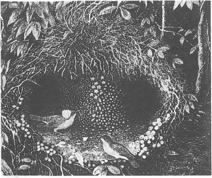 Иллюстрация к книге — Мозг рассказывает. Что делает нас людьми [i_030.jpg]