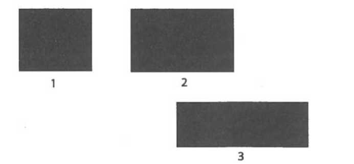 Иллюстрация к книге — Мозг рассказывает. Что делает нас людьми [i_035.jpg]