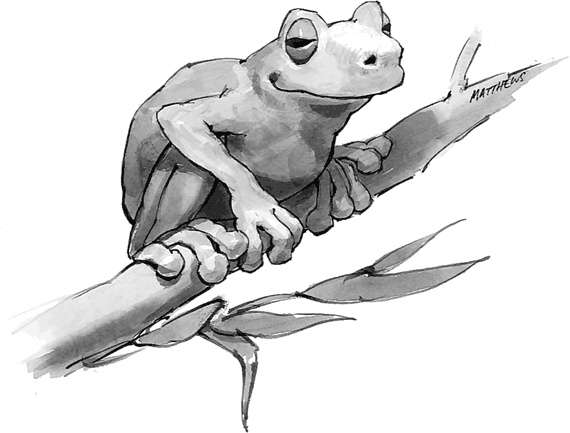 Иллюстрация к книге — Живи легко! [Autogen_eBook_id17.jpg]