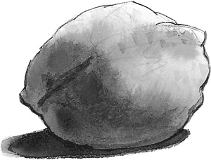 Иллюстрация к книге — Живи легко! [Autogen_eBook_id44.jpg]