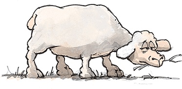 Иллюстрация к книге — Счастье. Краткий курс [Autogen_eBook_id20.jpg]