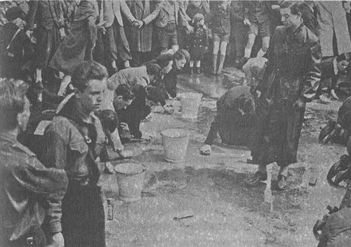 Иллюстрация к книге — В поисках памяти [i_005.jpg]