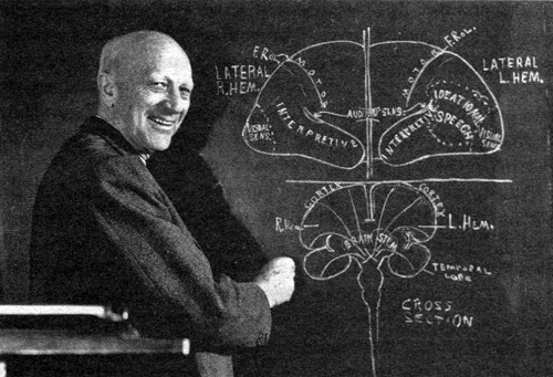 Иллюстрация к книге — В поисках памяти [i_034.jpg]