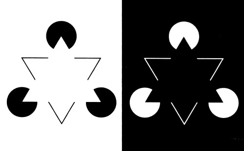 Иллюстрация к книге — В поисках памяти [i_066.jpg]