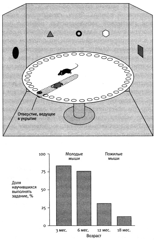 Иллюстрация к книге — В поисках памяти [i_068.jpg]