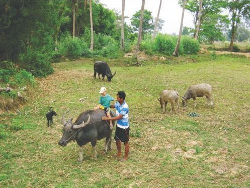 Иллюстрация к книге — Дауншифтинг, или как работать в удовольствие, не зависеть от пробок и заниматься тем, чем хочется [_07_1.jpg]