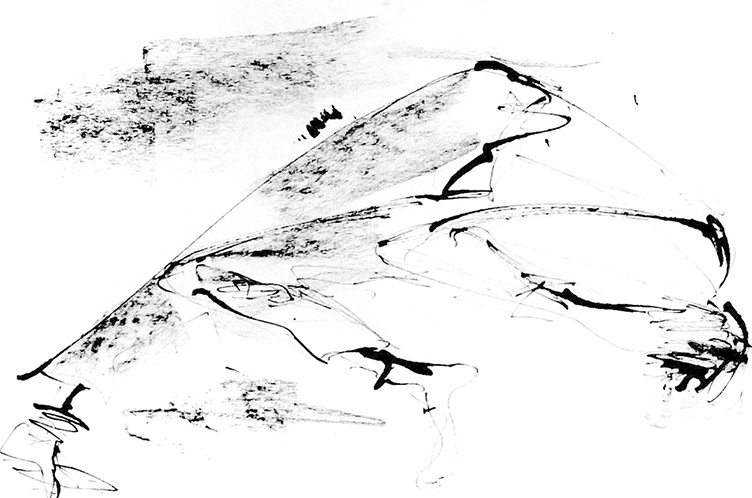 Иллюстрация к книге — Скажи красный [i_009.jpg]