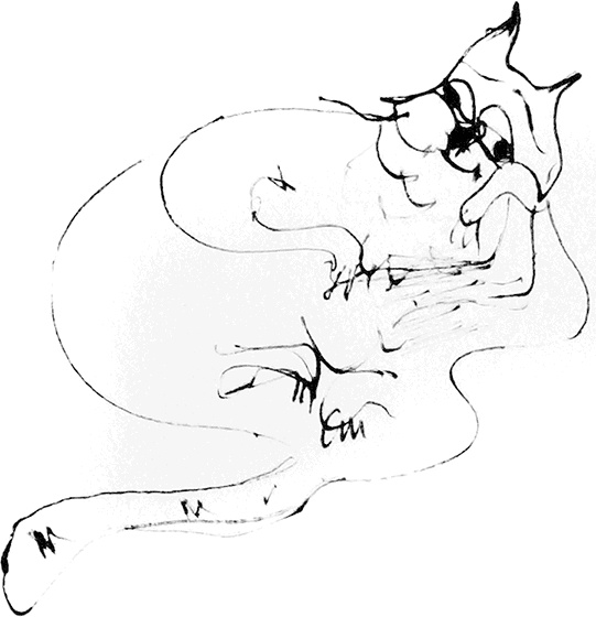 Иллюстрация к книге — Скажи красный [i_019.jpg]