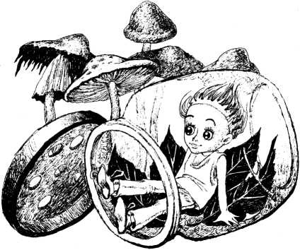 Иллюстрация к книге — Кукольный кораблик [i_003.jpg]