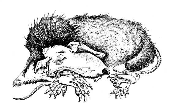 Иллюстрация к книге — Кукольный кораблик [i_020.jpg]