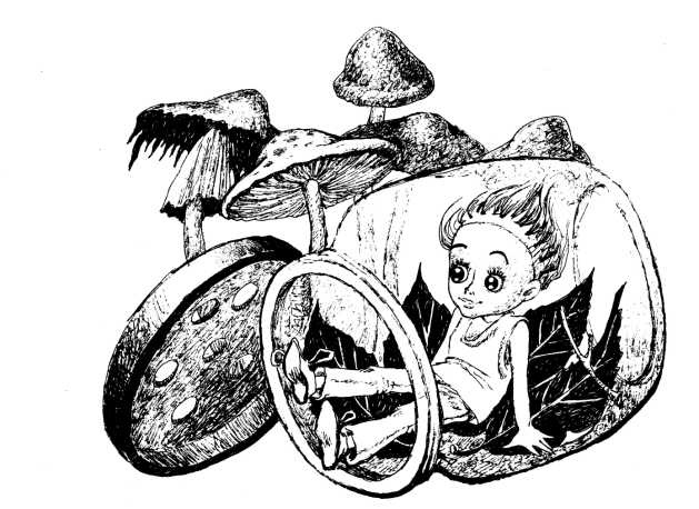 Иллюстрация к книге — Кукольный кораблик [i_033.jpg]