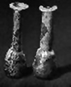 Иллюстрация к книге — Язык запахов [i_001.jpg]