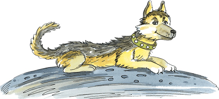 Иллюстрация к книге — Необыкновенные приключения Карика и Вали [i_005.jpg]