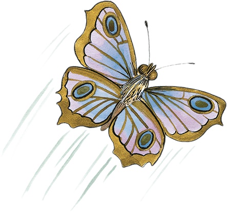 Иллюстрация к книге — Необыкновенные приключения Карика и Вали [i_021.jpg]