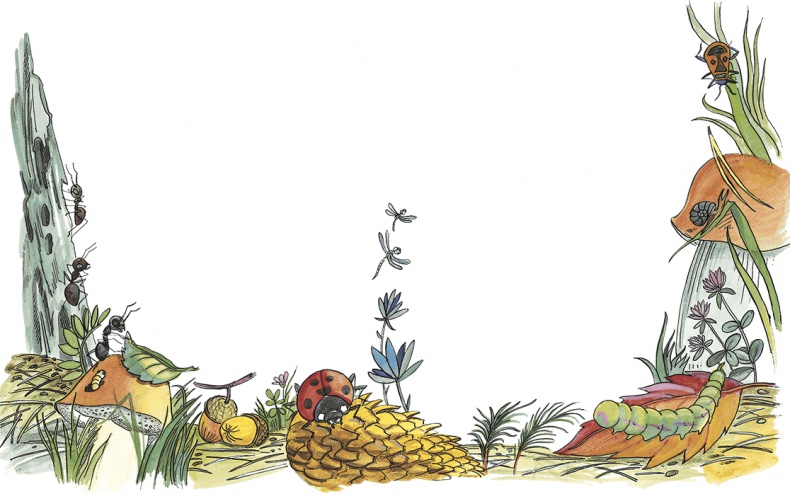 Иллюстрация к книге — Необыкновенные приключения Карика и Вали [i_028.jpg]