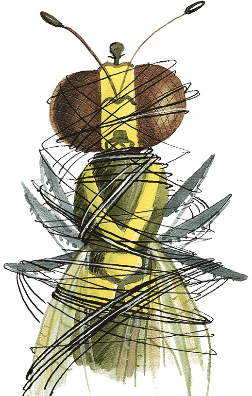 Иллюстрация к книге — Необыкновенные приключения Карика и Вали [i_029.jpg]