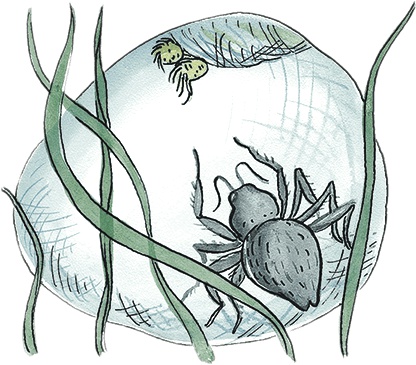 Иллюстрация к книге — Необыкновенные приключения Карика и Вали [i_032.jpg]