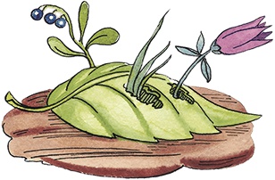 Иллюстрация к книге — Необыкновенные приключения Карика и Вали [i_041.jpg]