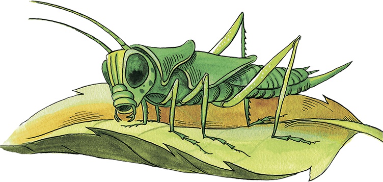 Иллюстрация к книге — Необыкновенные приключения Карика и Вали [i_043.jpg]