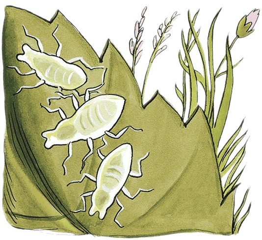 Иллюстрация к книге — Необыкновенные приключения Карика и Вали [i_045.jpg]