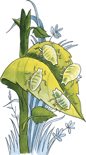 Иллюстрация к книге — Необыкновенные приключения Карика и Вали [i_049.jpg]