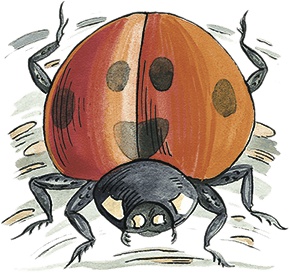 Иллюстрация к книге — Необыкновенные приключения Карика и Вали [i_051.jpg]